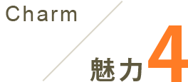 Charm 魅力 4